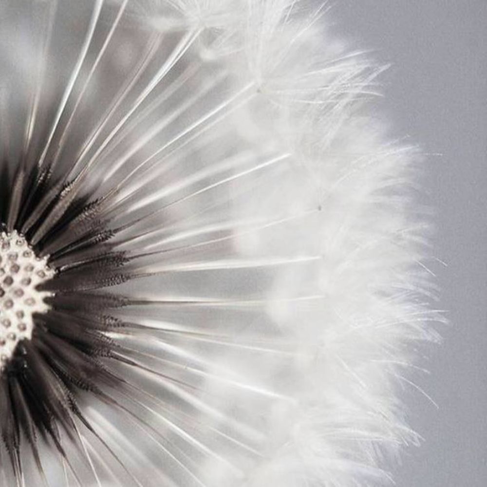 Meet your Posher, Randi